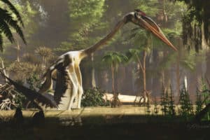 An artist’s interpretation of Quetzalcoatlus northropi wading in the water. The latest research describes this species of Quetzalcotalus as having a lifestyle similar to today’s herons.