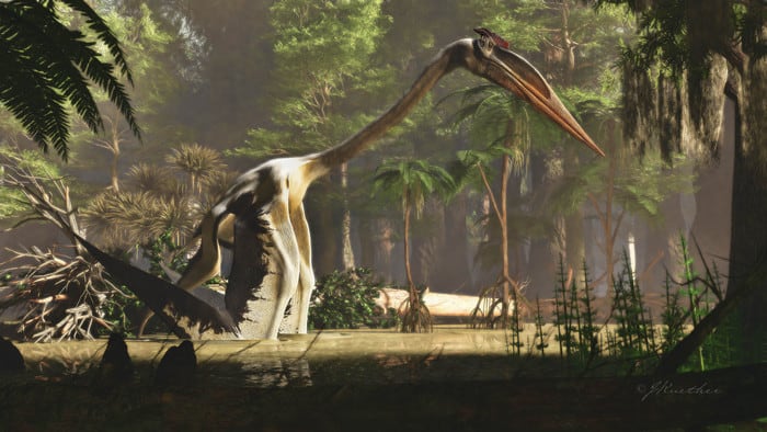 An artist’s interpretation of Quetzalcoatlus northropi wading in the water. The latest research describes this species of Quetzalcotalus as having a lifestyle similar to today’s herons.