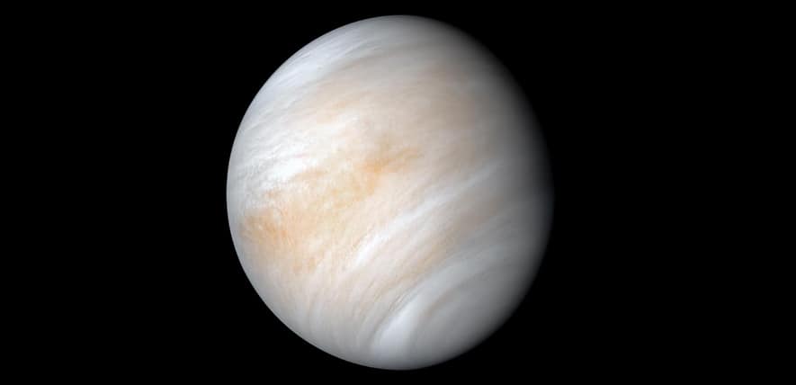 Venus, home to acid-neutralizing life?