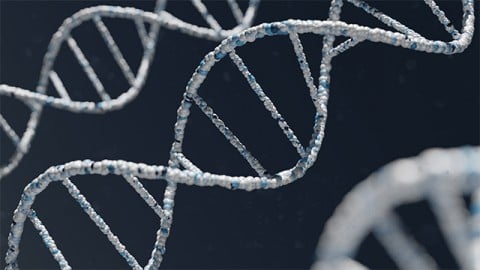 Secondary structures in DNA are associated with cancer