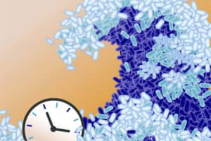 An artistic depiction of cells in the clock-and-wavefront process, a sophisticated development patterning mechanism associated with multicellular organisms. Communities of unicellular organisms were thought to be devoid of such sophisticated patterning. Credit: Nicholas Wilson.