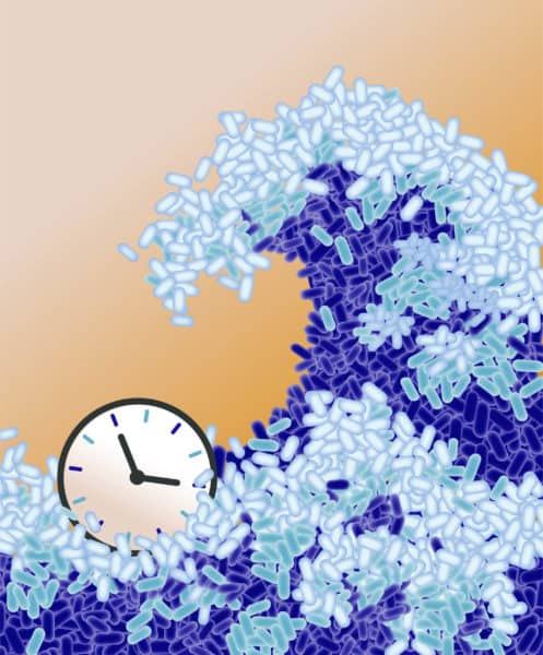 An artistic depiction of cells in the clock-and-wavefront process, a sophisticated development patterning mechanism associated with multicellular organisms. Communities of unicellular organisms were thought to be devoid of such sophisticated patterning. Credit: Nicholas Wilson.