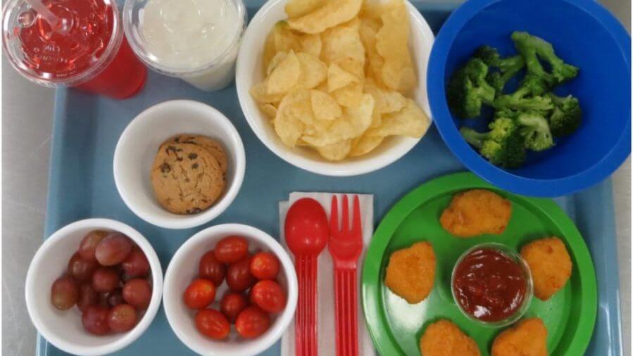 Children participated in two identical laboratory sessions in the study conducted in the Children’s Eating Behavior Laboratory where seven foods — chicken nuggets, ketchup, potato chips, grapes, broccoli, cherry tomatoes and cookies — were included on a tray. Also included were two beverages, fruit punch and milk. Credit: Penn State. Creative Commons