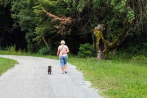 Woman walking dog on park road