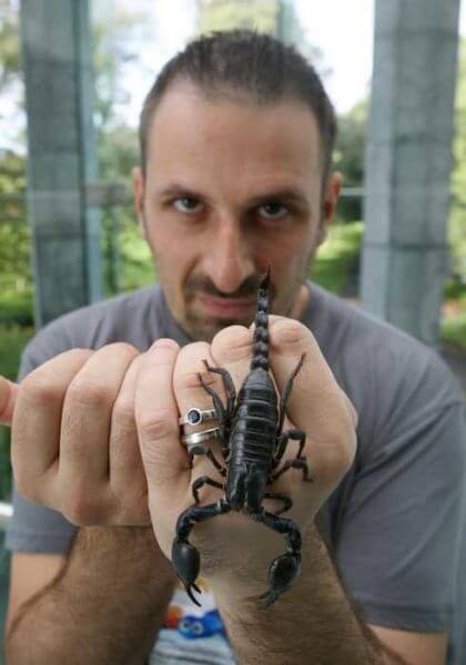 • Dr Michel Dugon Head of the Venom System Lab at NUI Galway holding a Heterometrus spinifer