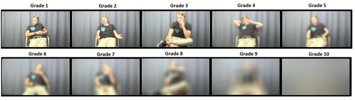 Visual depiction of the actual blur grades used in this study.