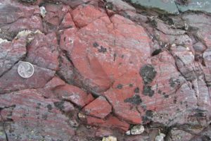 Layer-deflecting bright red concretion of haematitic chert (an iron-rich and silica-rich rock), which contains tubular and filamentous microfossils. This co-called jasper is in contact with a dark green volcanic rock in the top right and represent hydrothermal vent precipitates on the seafloor. Nuvvuagittuq Supracrustal Belt, Québec, Canada. Canadian quarter for scale.