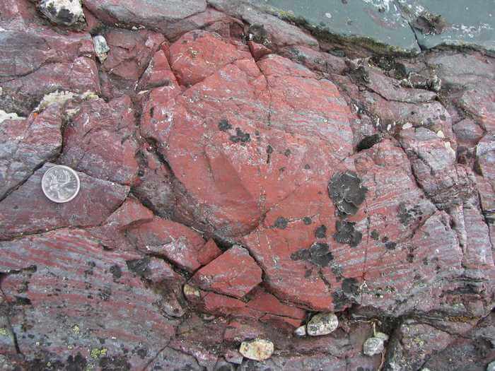Layer-deflecting bright red concretion of haematitic chert (an iron-rich and silica-rich rock), which contains tubular and filamentous microfossils. This co-called jasper is in contact with a dark green volcanic rock in the top right and represent hydrothermal vent precipitates on the seafloor. Nuvvuagittuq Supracrustal Belt, Québec, Canada. Canadian quarter for scale.