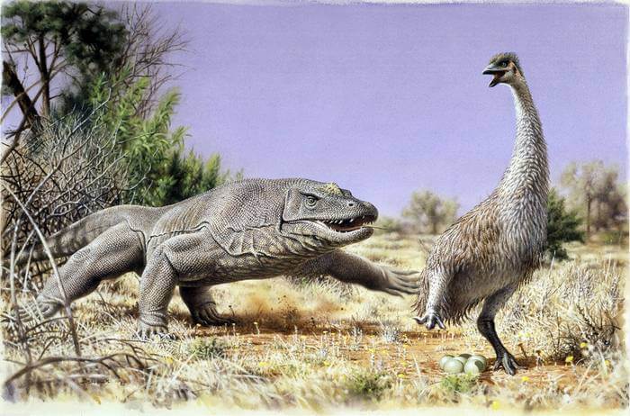 Illustration of ancient animals