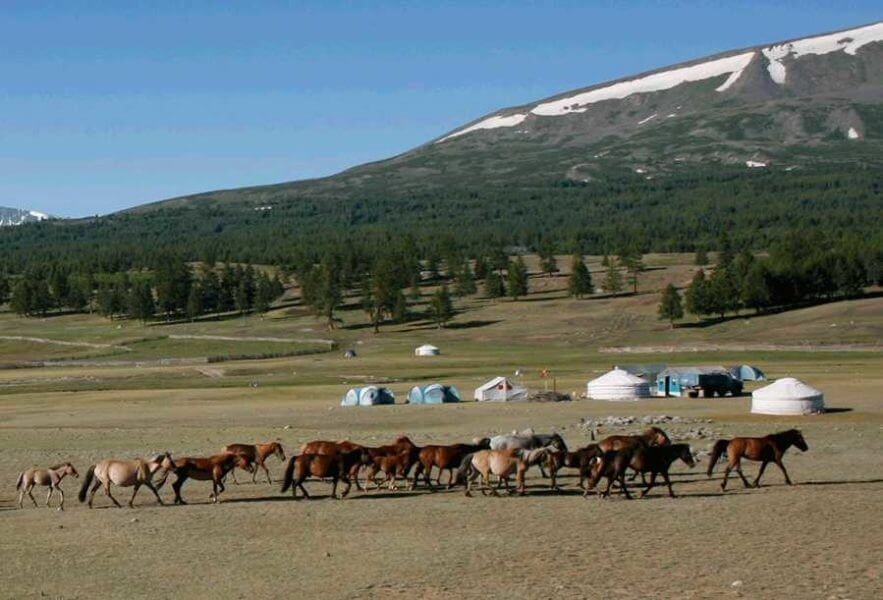 Horses and Gers near Khoton (Syrgal) Lake near the Altai Mountains of Mongolia. Image credit: Noost Bayarkhuu