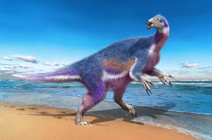 An artist’s rendition of Paralitherizinosaurus japonicus, the new dinosaur species described in this study (Illustration: Masato Hattori).