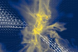 Simulation of binary star