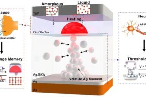 Neuromorphic memory device consisting of bottom volatile and top nonvolatile memory layers emulating neuronal and synaptic properties, respectively.