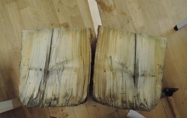 A split wooden pile showing incipient soft rot caused by fungi.