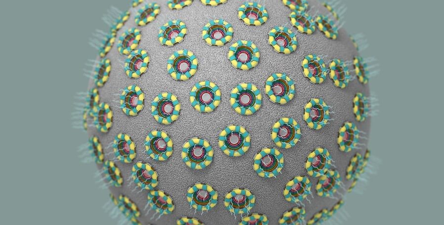 A molecular model of the outside (cytoplasmic) face of the nuclear pore complex. Reprinted with permission from C.J. Bley et al., Science 376, eabm9129 (2022).