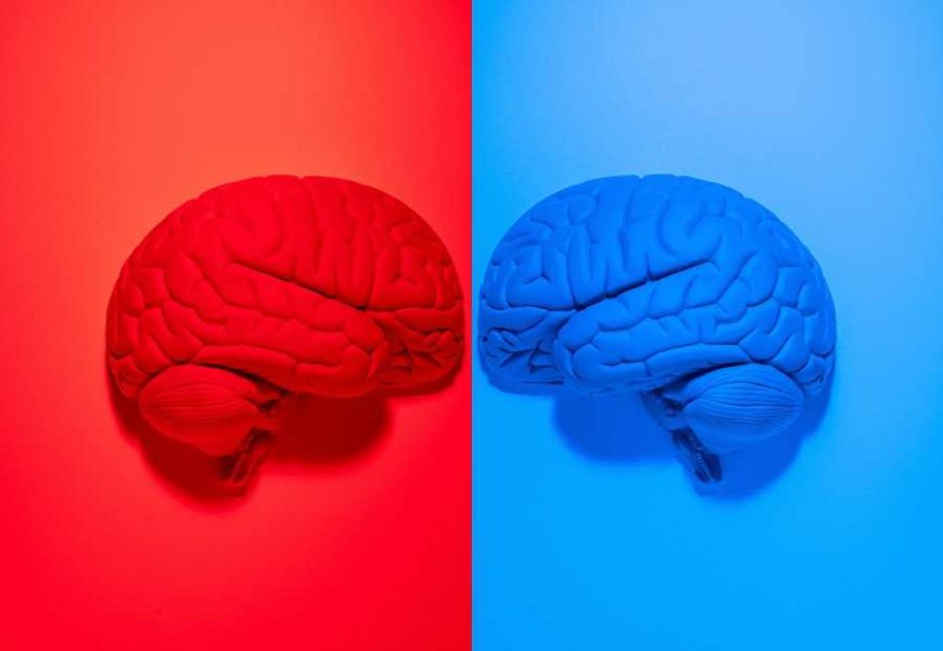 A brain scan can reveal whether a person would identify as a Republican or a Democrat.