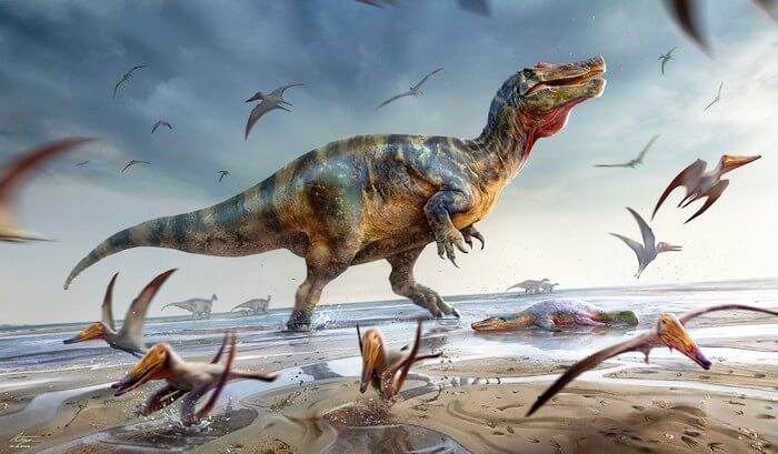 Illustration of White Rock spinosaurid by Anthony Hutchings