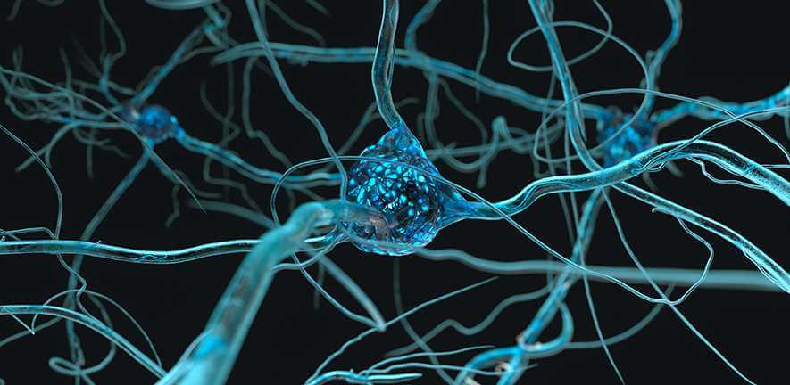 Motor neurone diseases closeup