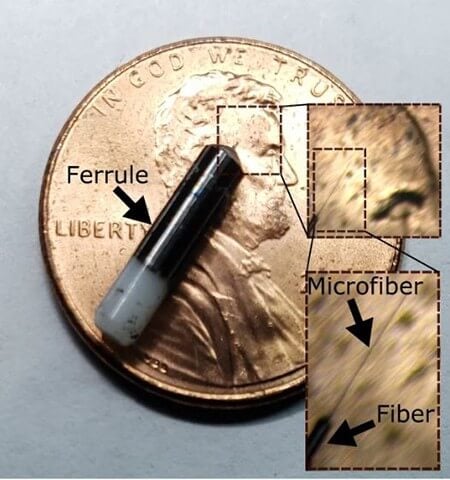 Photograph of a small capsule supporting the neural probe, with a closeup of the microfiber tip. Credit: Spencer Ward