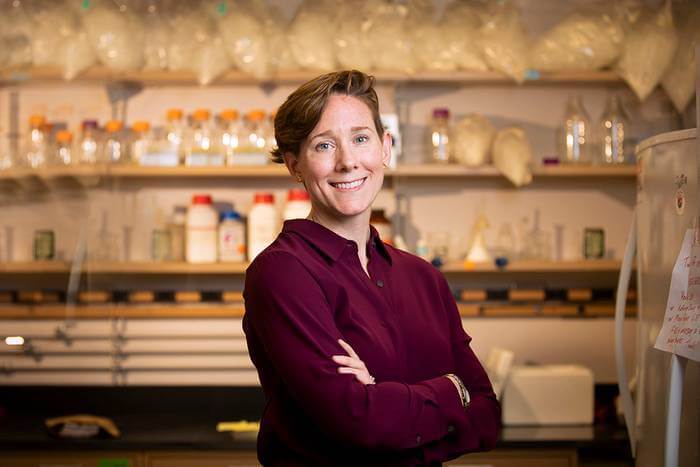 In a survey of more than 35,000 people, U. of I. anthropology professor Kathryn Clancy and her colleagues collected evidence that many individuals experience menstrual changes after COVID-19 vaccination.