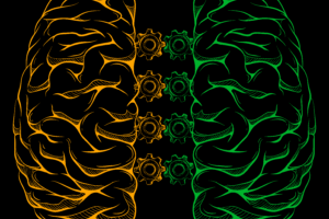 Conceptual illustration of spline rhythms. Image credit: Omar Ahmed Lab