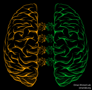 Running, dreaming improve left brain-right brain communication