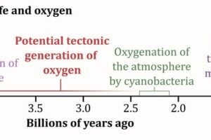 The research investigates a source of reactive oxygen associated with geological faulting; a potential oxygen source prior to cyanobacteria oxygenating the Earth’s atmosphere. This reactive oxygen may had a role in the evolution of life from an oxygen-free to an oxygenated world, and contributed to prebiotic chemistry in subsurface fractures prior to the origin of life.