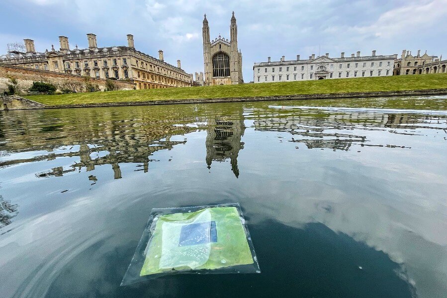 Artificial leaves floating on the River Cam near King's College, Cambridge.