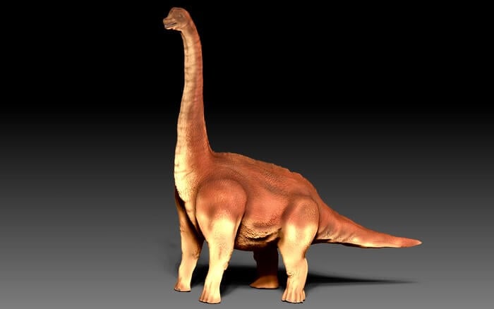 3D paleoreconstruction of a sauropod dinosaur.