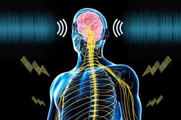 A University of Minnesota Twin Cities-led team has found that electrical stimulation of the body combined with sound activates the brain’s somatosensory cortex, increasing the potential for using the technique to treat chronic pain and other sensory disorders.