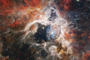 In this mosaic image stretching 340 light-years across, Webb’s Near-Infrared Camera (NIRCam) displays the Tarantula Nebula star-forming region in a new light, including tens of thousands of never-before-seen young stars that were previously shrouded in cosmic dust. The most active region appears to sparkle with massive young stars, appearing pale blue.