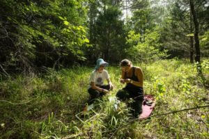 Skidmore College student Sar Lindner (left) observes as Rice University graduate student Ali Campbell examines a grass stem for signs of symbiotic fungi during a field sampling expedition near Huntsville, Texas.