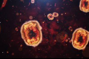 Monkeypox cells colorized