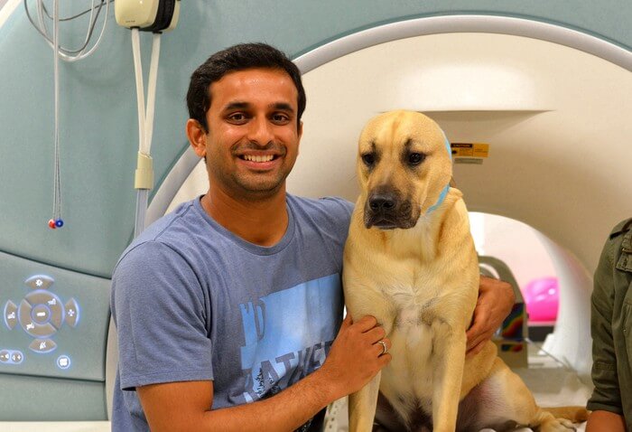Bhubo, shown with his owner Ashwin Sakhardande, prepares for his video-watching session in an fMRI scanner. The dog's ears are taped to hold in ear plugs that muffle the noise of the fMRI scanner.