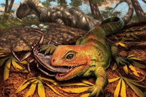 An artistic interpretation of a newly discovered extinct species of lizard-like reptile belonging to the same ancient lineage as New Zealand’s living tuatara.