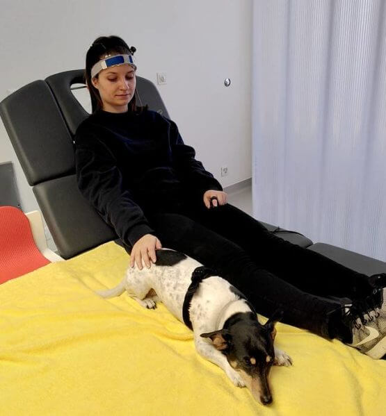 Brain activity is measured while the participant interacts with the dog.
