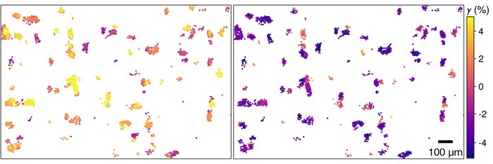 In this study, the research team tracked the locations of 25,000 tiny particles that make up a two-dimensional disordered solid. Groups of particles rearrange as the solid is deformed. This diagram depicts when particles are rearranged as the material is deformed in one direction (left) or the opposite direction (right). Particles with colors at the extreme end of the scale (yellow, blue) deform later in this process