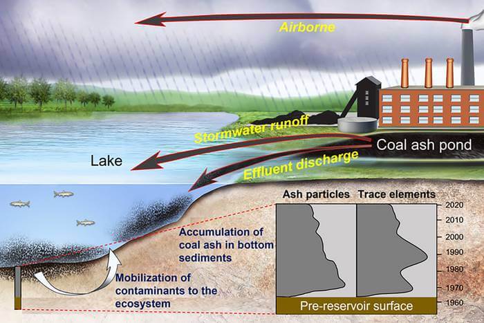 Researchers who analyzed bottom sediments from five North Carolina lakes near coal-fired power plants say coal ash contamination has entered the lakes by three different routes.