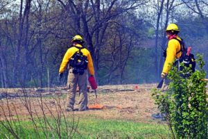 Crew members monitor a prescribed fire at the Arboretum at Penn State. In addition to its utility in managing invasive species and restoring ecosystem health, prescribed burning could help control tick populations and reduce transmission of tick-borne pathogens, researchers say.