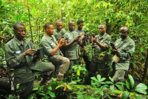 Rangers in a tropical rain forest