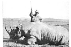 Theodore Roosevelt stands above a black rhino he has just killed (1911).