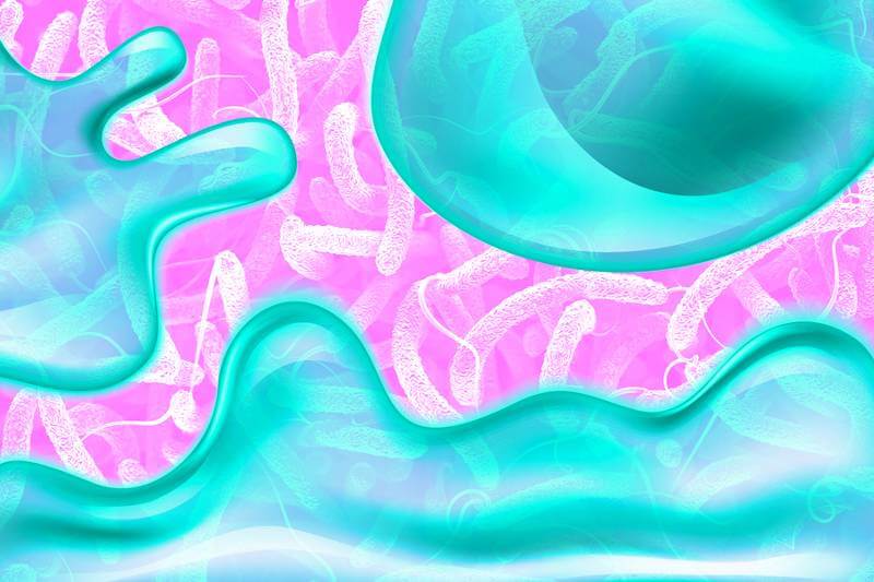 MIT researchers have identified components of mucus that can block cholera infections by interfering with the genes that cause the microbe to switch into a harmful state.