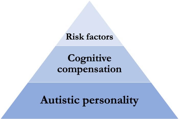 The three factors have different weights, and jointly build up to the diagnosis of autism.