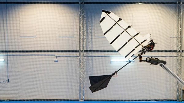 Researchers Develop Robot That Can Land on a Branch Like a Bird