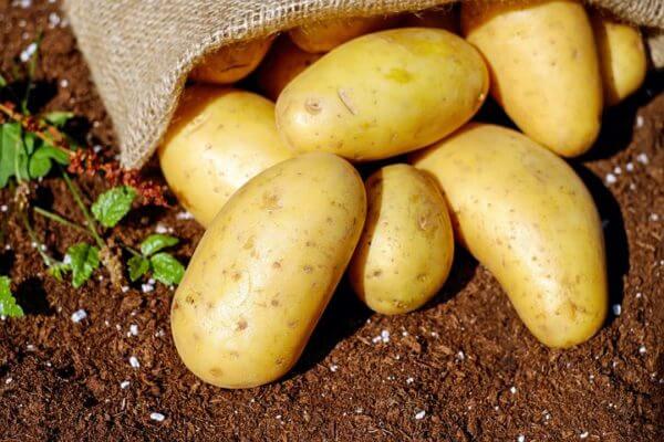 Why potatoes don’t deserve their bad reputation: It’s not them, it’s you