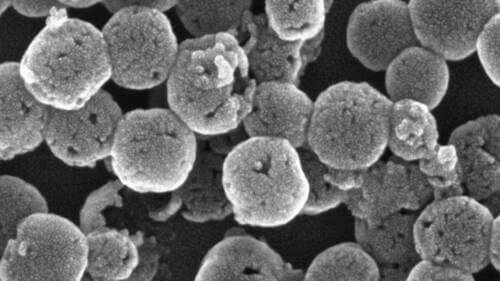 Nanoparticles in black and white