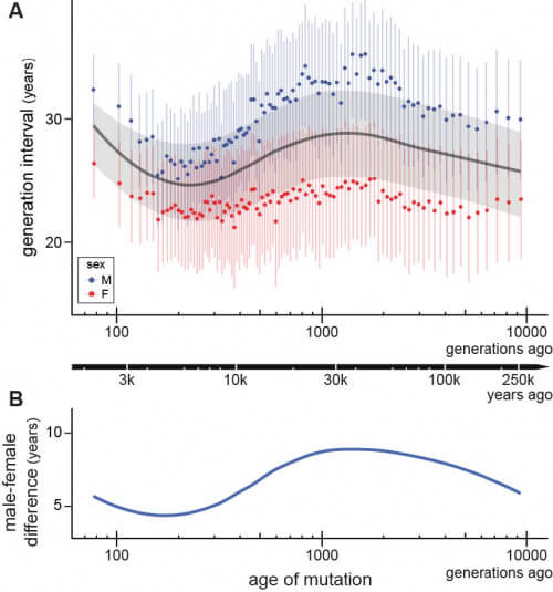 Graphs showing the average age at conception for men versus women over the past 250,000 years. Images courtesy of the Hahn Lab