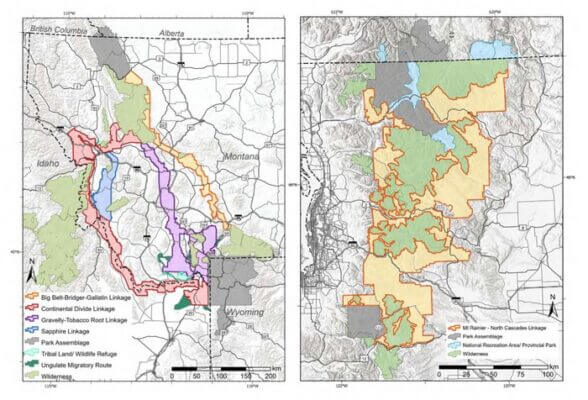 Animals would benefit from corridors connecting parks