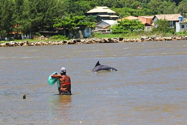 Fishing in synchrony brings mutual benefits for dolphins and people