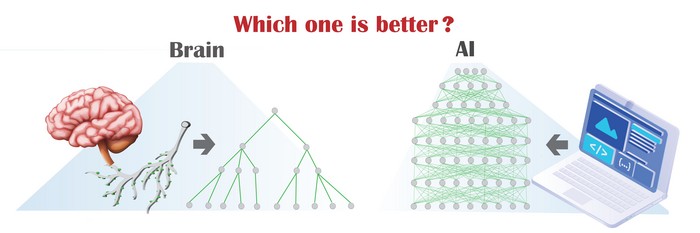 Scheme of a simple neural network based on dendritic tree (left) vs. a complex artificial intelligence deep learning architecture (right)